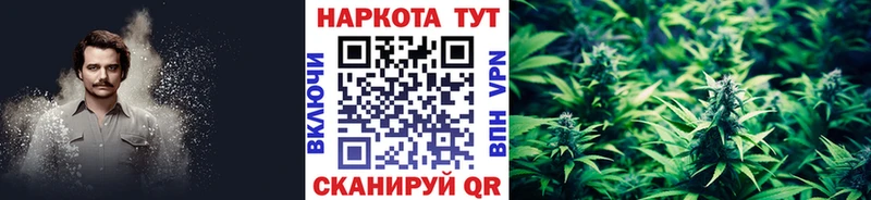 Купить наркоту Чаплыгин APVP  Псилоцибиновые грибы  MEGA рабочий сайт  ГАШ  Амфетамин  Каннабис 