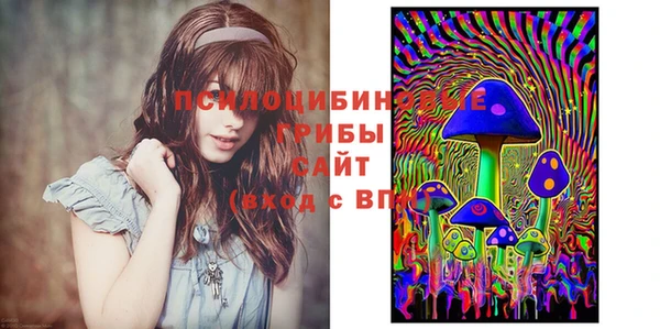 СК Лихославль