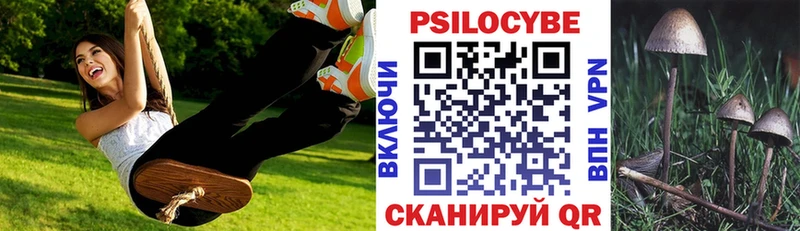 Галлюциногенные грибы Psilocybe  хочу   omg рабочий сайт  Чаплыгин 